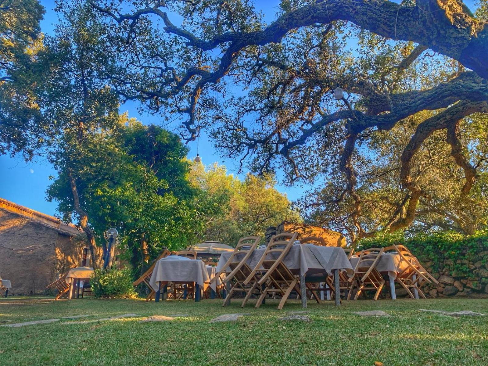 Casteddu Farm stay *